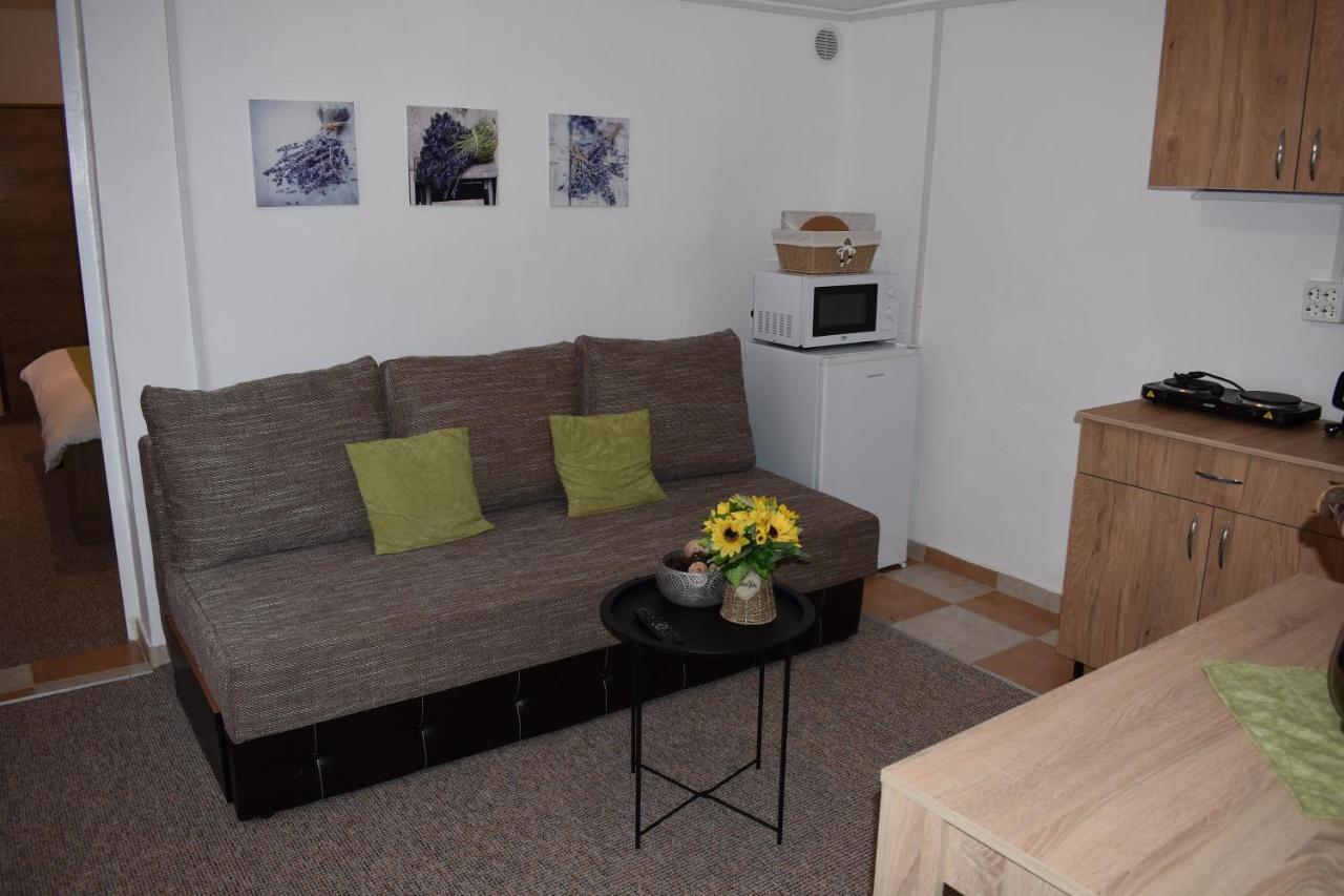 Apartament Zimbru Cluj Napoca Bagian luar foto